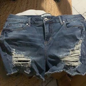 Torrid shorts